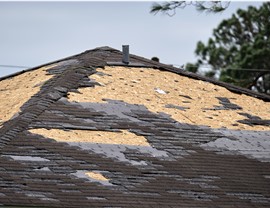 Storm Damage - Hurricane Damage Photo 2