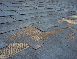 Storm Damage - Wind Damage Photo 2