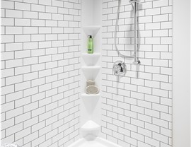 Walk-In Shower Photo 3