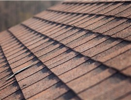 Roof Types Photo 21