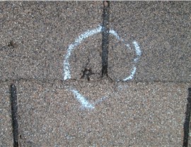 Insurance Claims Photo 70