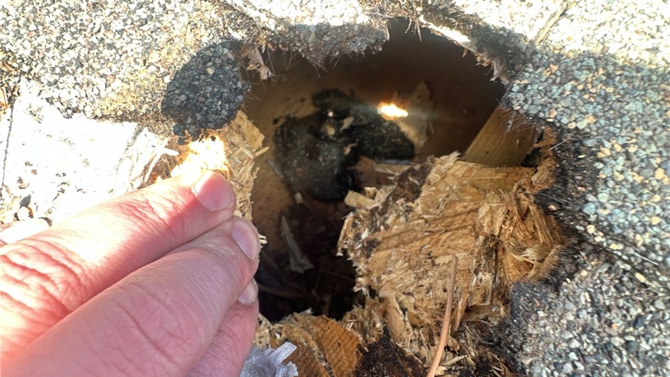 Roofing Project in Monument, Colorado by Reliable Roofing Systems