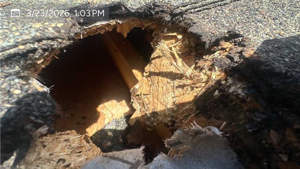 Roofing Project in Monument, Colorado by Reliable Roofing Systems