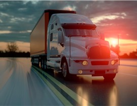 International Moving Photo 3