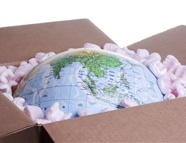 International Moving Photo 2