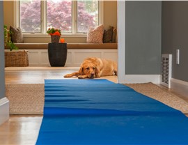 Residential Moving - Interstate Moving Photo 2