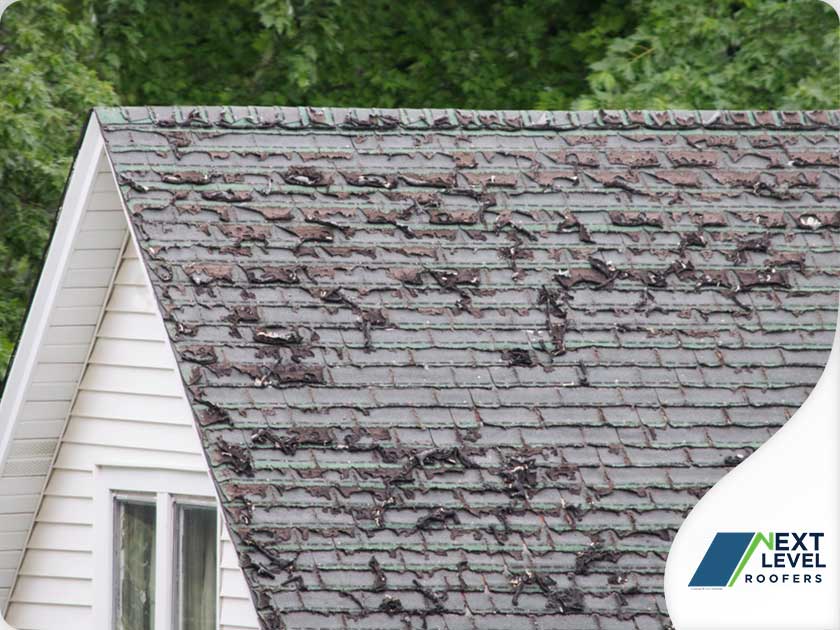 residential roofing services shingle replacement