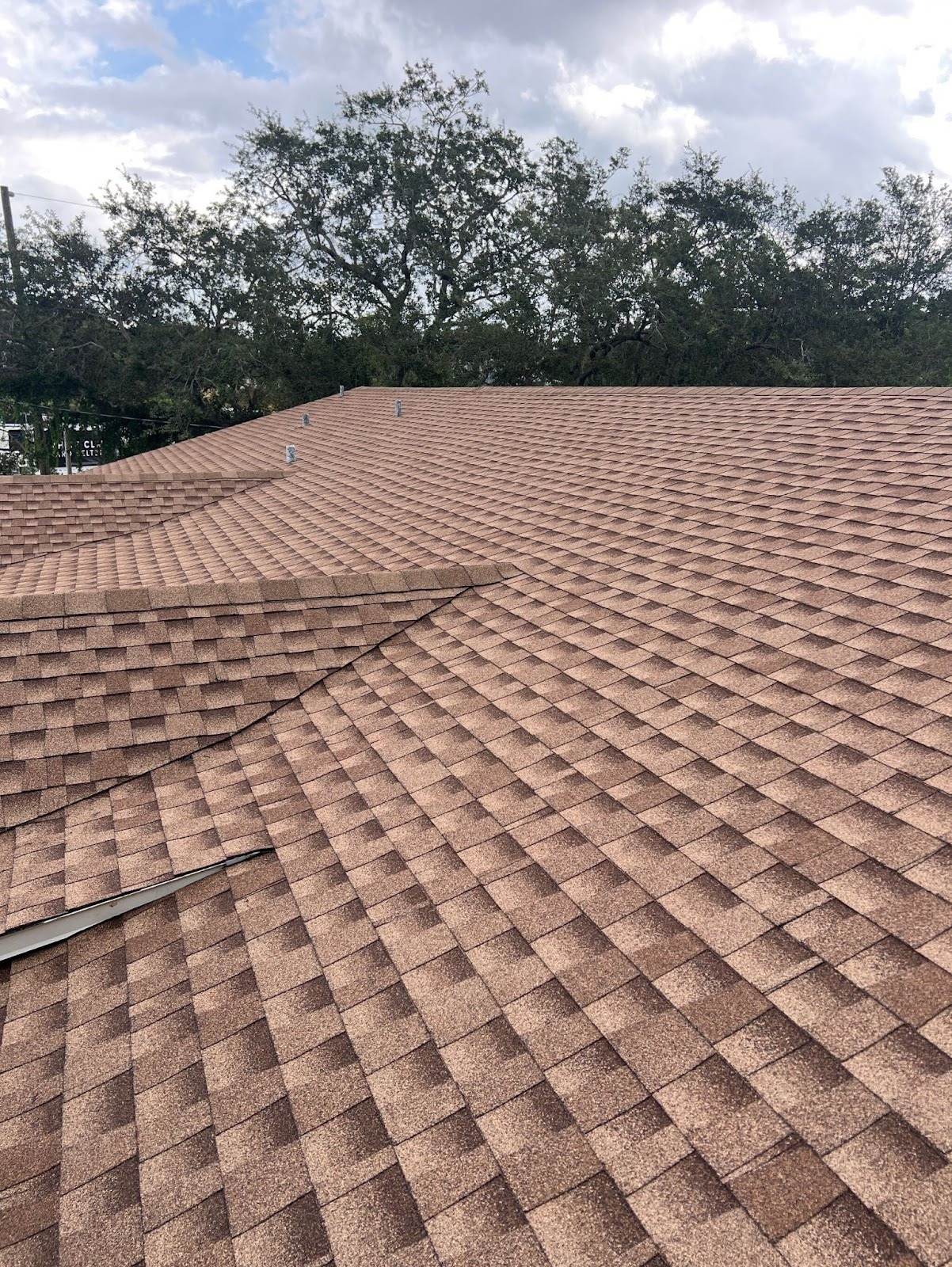 Asphalt Shingle Blisters: Causes and Solutions