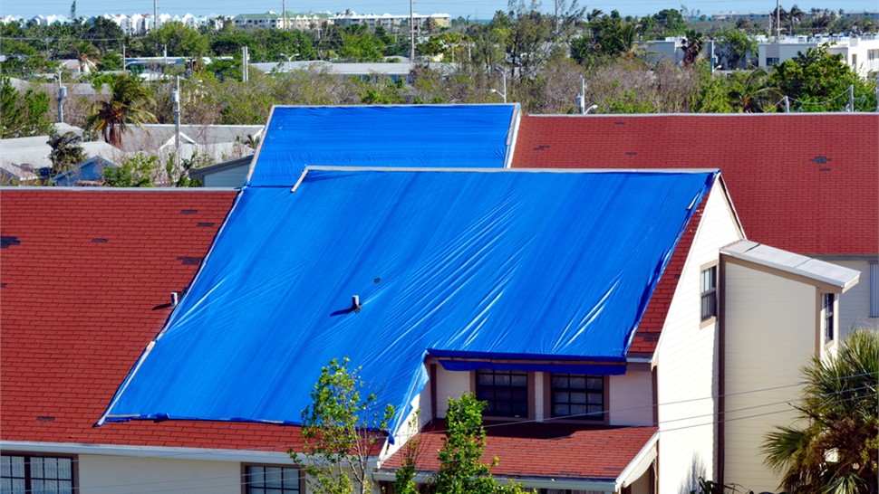 Storm Damage Photo 64