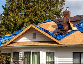 Roof Wind Damage Photo 39