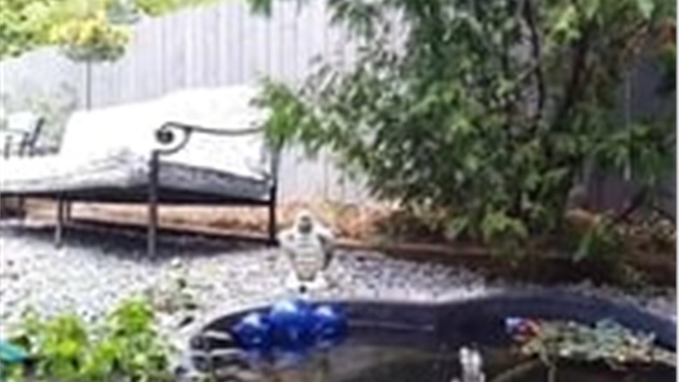 Englewood NJ Photo 1