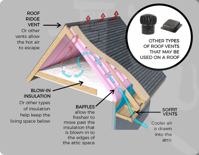 The Ins and Outs of Attic Vents and Ventilation