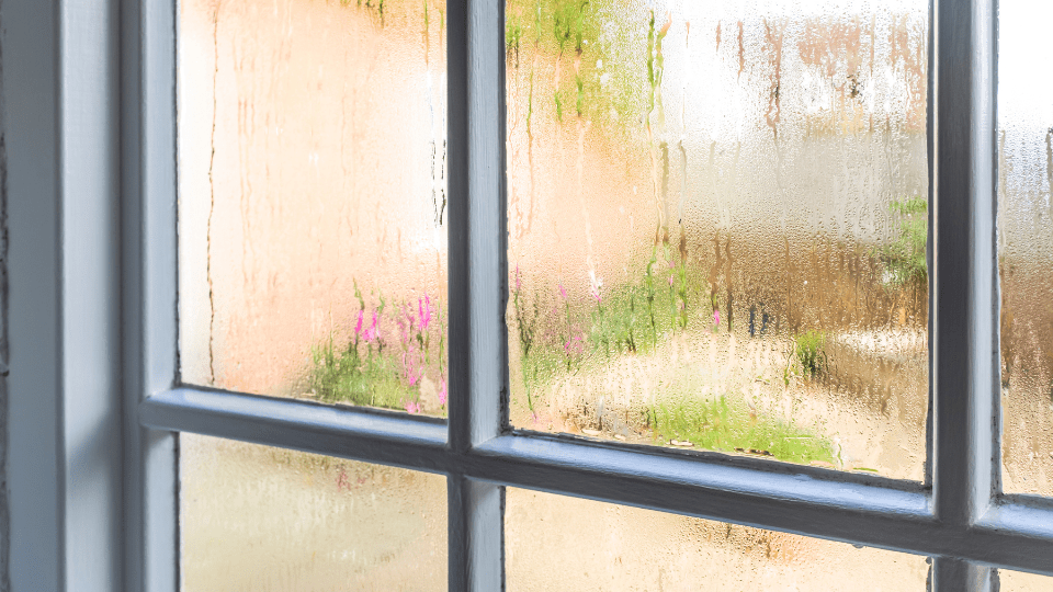 How Much Do Replacement Windows Typically Cost?
