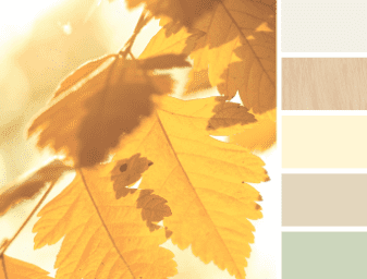 What Are My Color Choices With Certainteed Vinyl Siding?