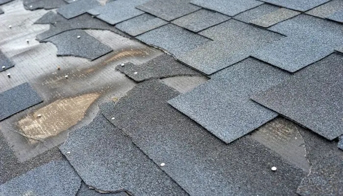 Is It Time to Replace My Roof? What to Do If You Notice Missing Shingles