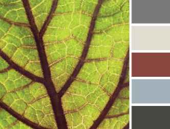 What Are My Color Choices With Certainteed Vinyl Siding?