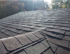 Roofing - Roof Repair Photo 45