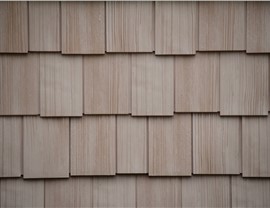 Siding - Composite Siding Photo 37
