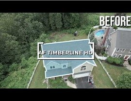 Grafton videos Video 28