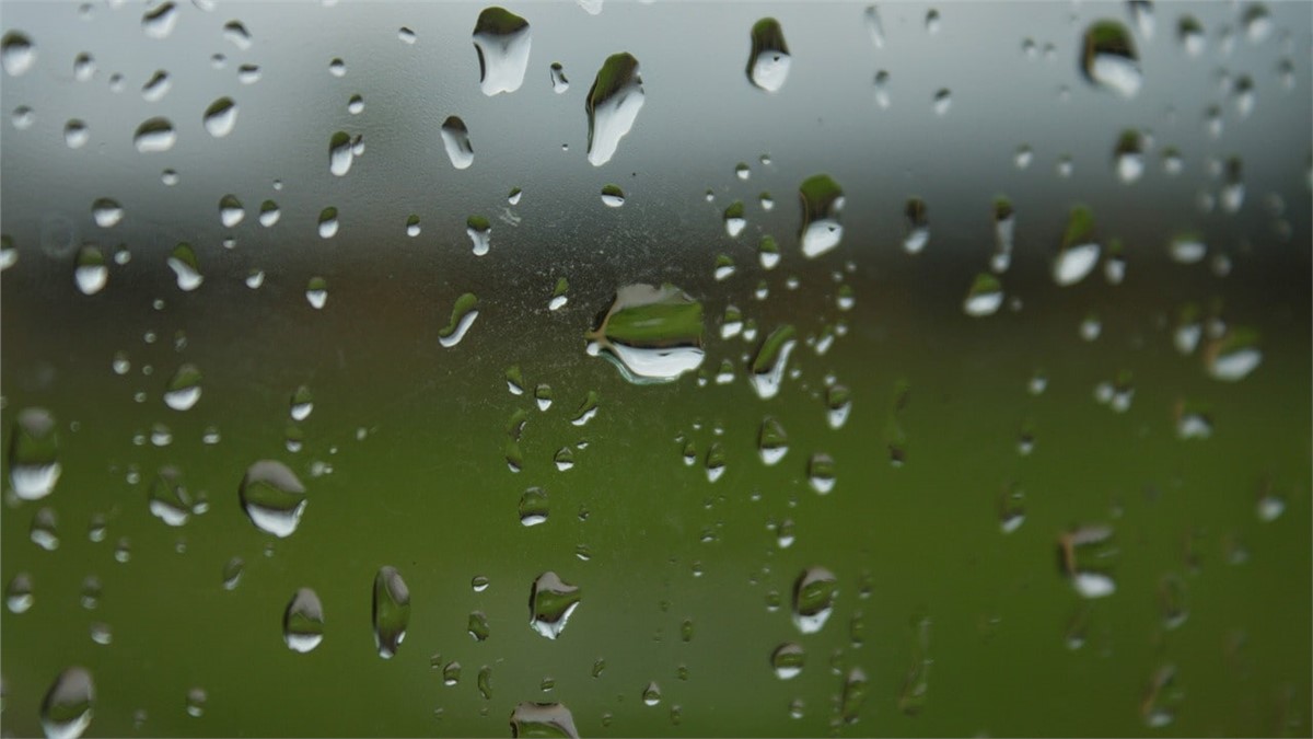 Foggy Windows in the House: Why It Happens & How to Fix It