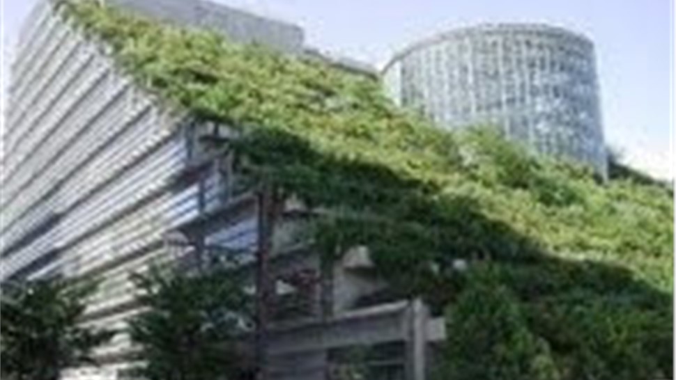 Green Roofing Photo 94