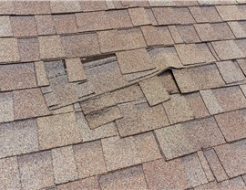 Hurricane Damage Photo 53