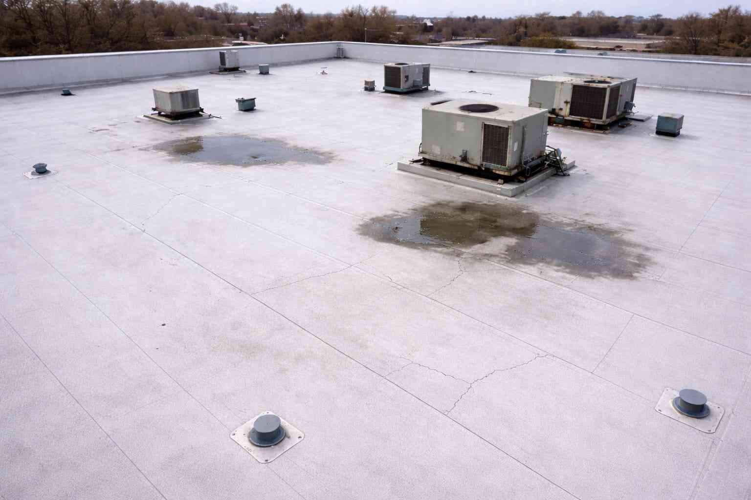 Post-Winter Assessment