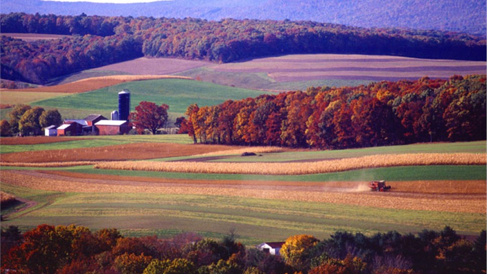 Schuylkill County Photo 1