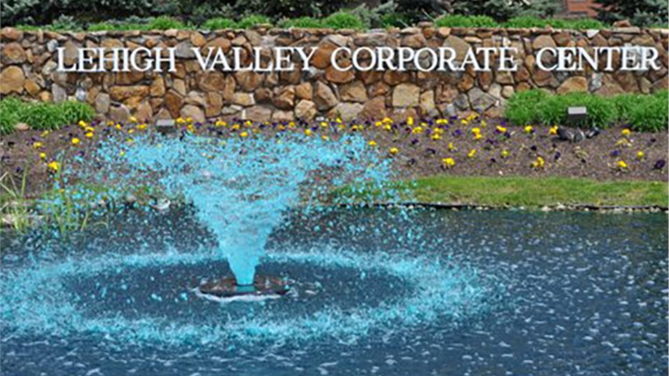 Lehigh Valley Movers Photo 1