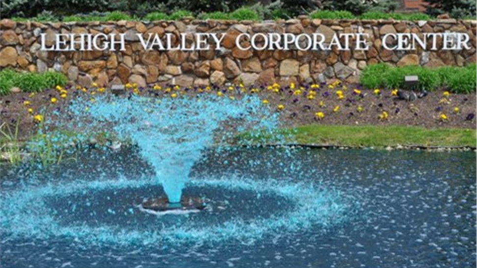 Move NYC to PA Photo 1