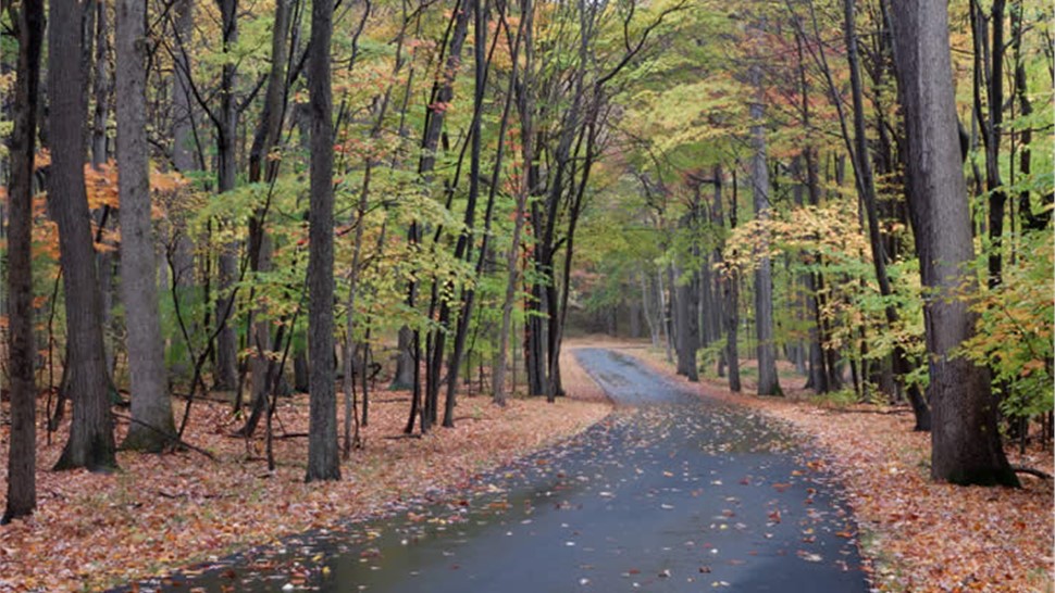 Somerset County Photo 1