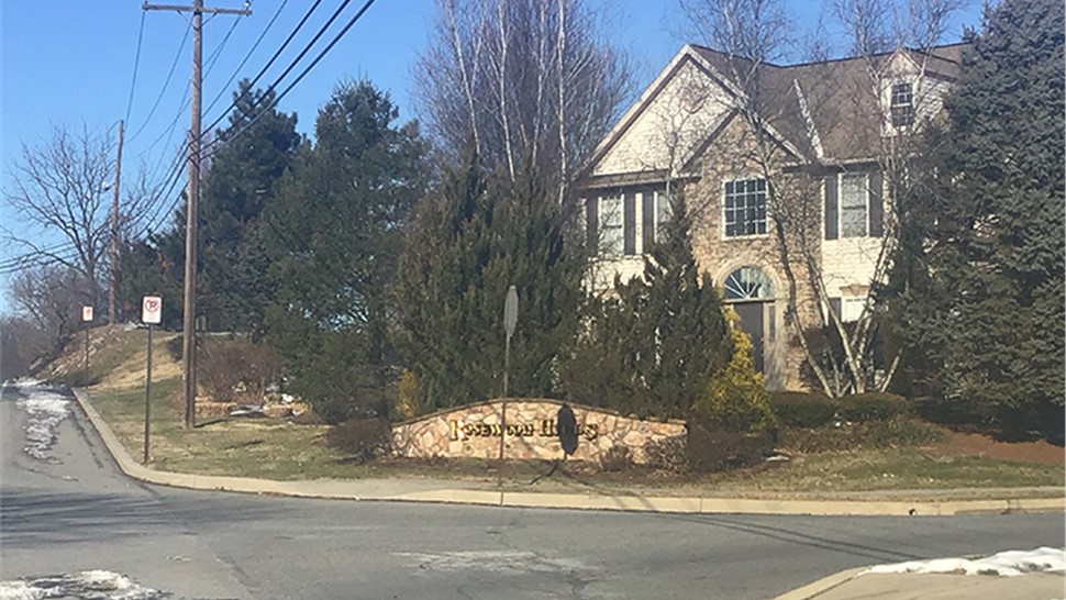 wyomissing movers Photo 1