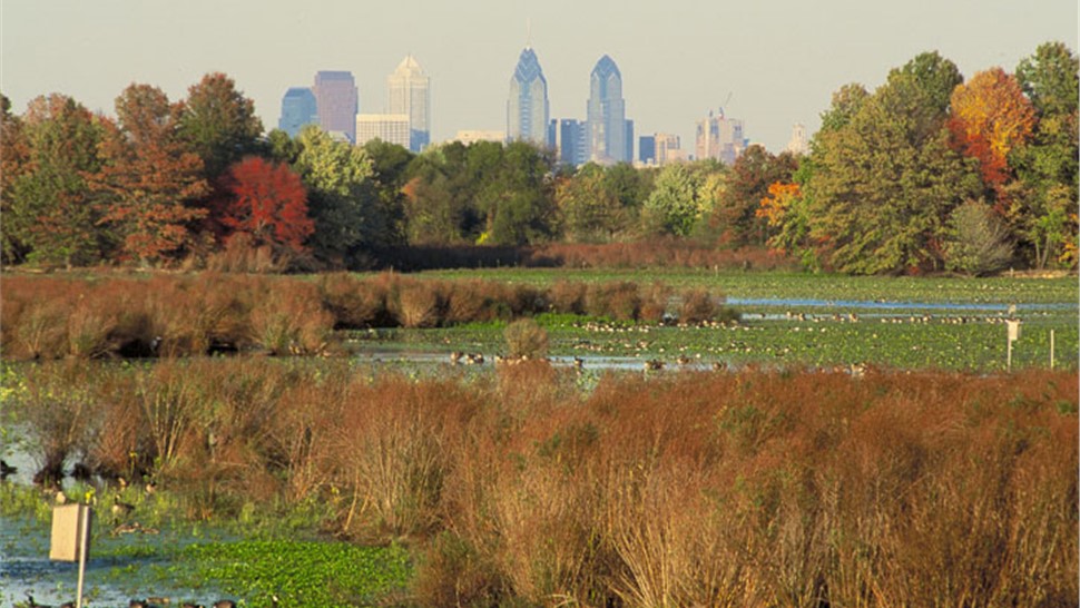 Delaware County Photo 1