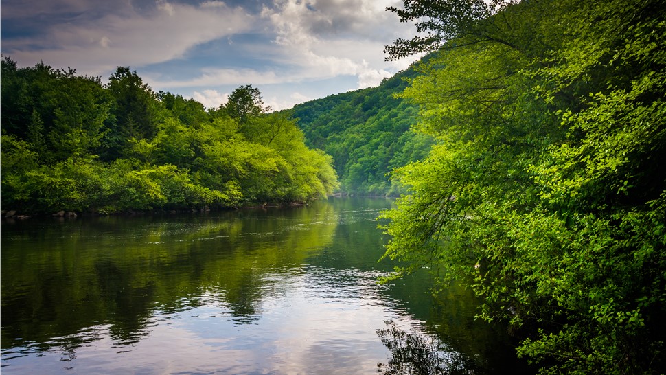 Move NJ to PA Photo 1