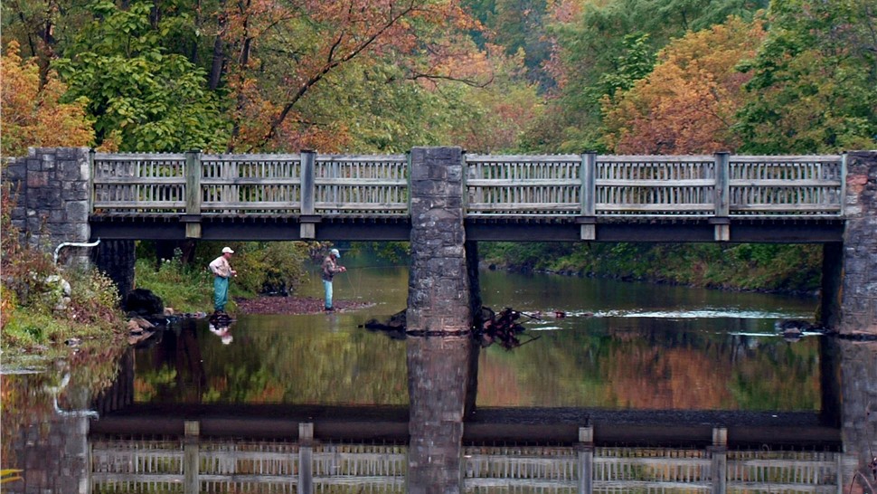 Move NYC to Lehigh Photo 1