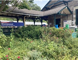 Wynnewood Movers Photo 2