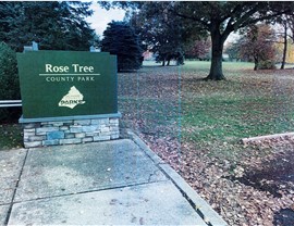 Newtown Square Movers Photo 4