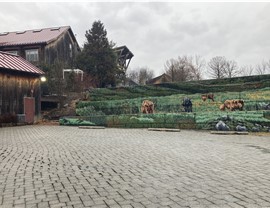 Upper Macungie Township Movers Photo 3