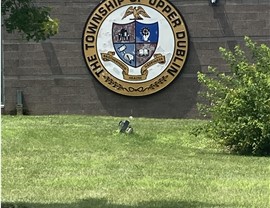 Upper Dublin Township Movers Photo 2