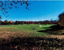 Lower Macungie Township Movers Photo 4