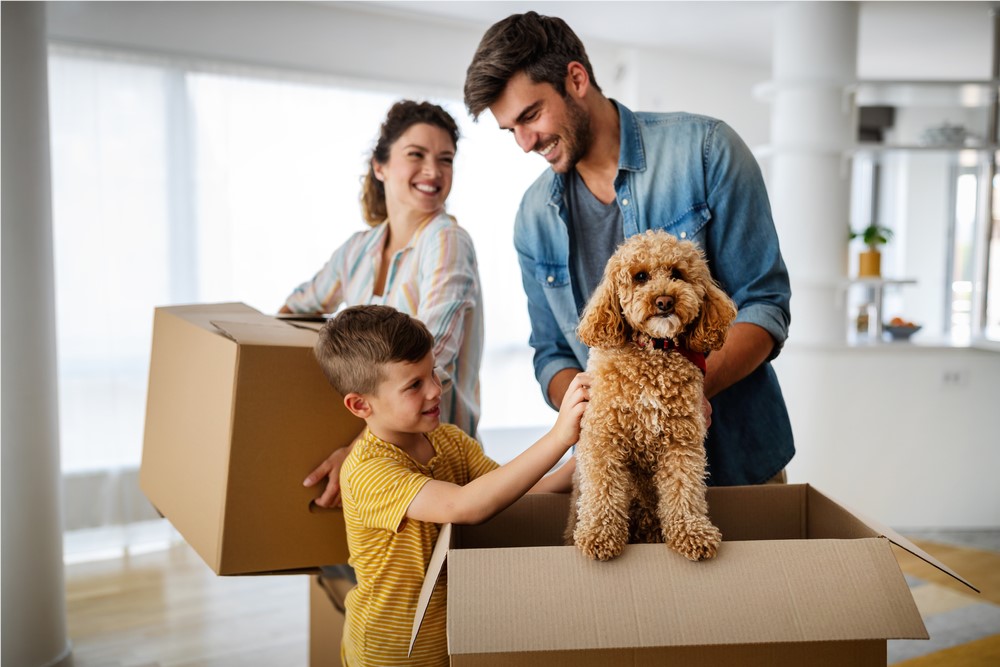 Tips for Relocating with Pets