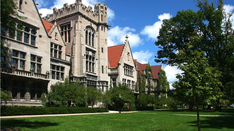 Commercial - School Movers Photo 1