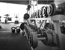 Specialized - Exercise Equipment Photo 2