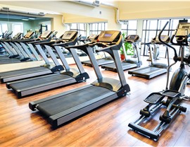 Specialized - Exercise Equipment Photo 3