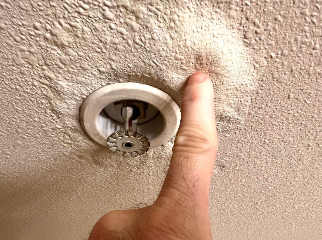 ‘Help, My Roof is Leaking!’ Here’s What to Do First
