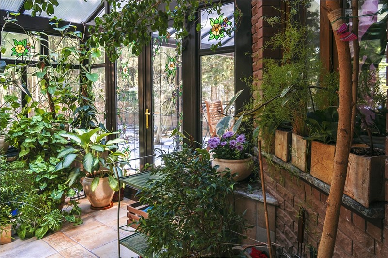 The interior of a home adorned with a large assortment of plants.