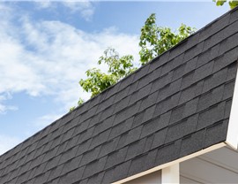 Roof Repair Photo 43