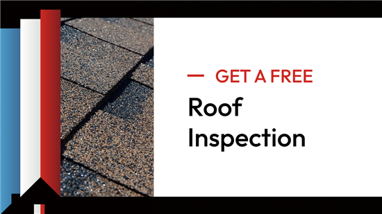roof inspection