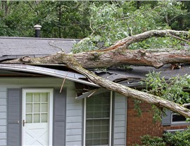 Storm Damage Photo 4