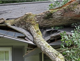 Storm Damage Photo 2